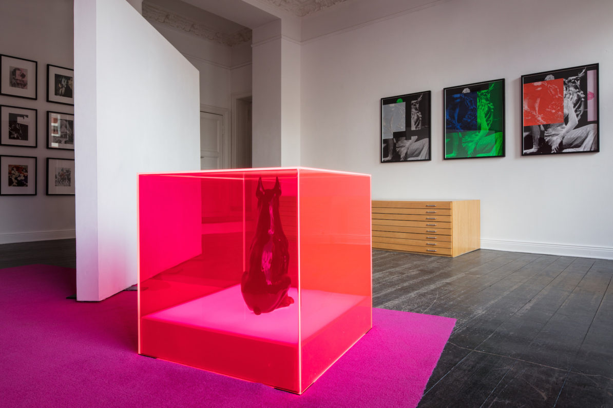 Breitenfellner_2017_03